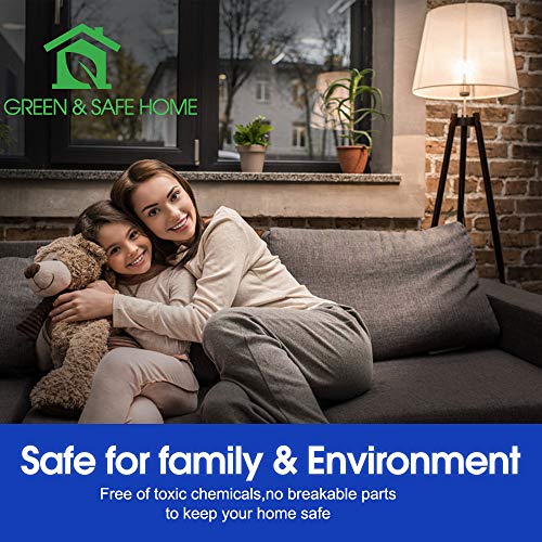 Dimmable LED Light Bulbs (12 Count)