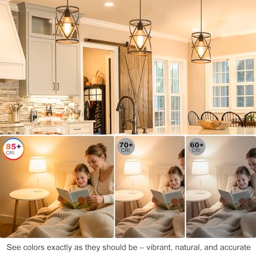 Dimmable ST58 LED Edison Bulbs 40W Equivalent (6 Count)