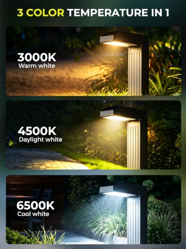 Solar Pathway Lights Outdoor (6 Count)