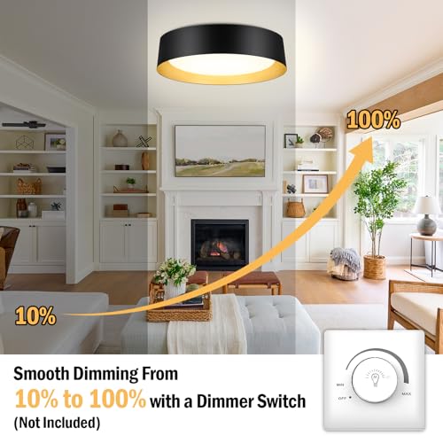 Flush Mount Ceiling Light