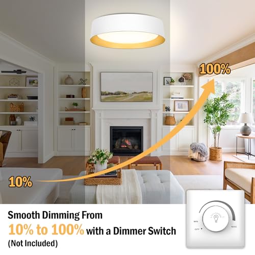 Flush Mount Ceiling Light