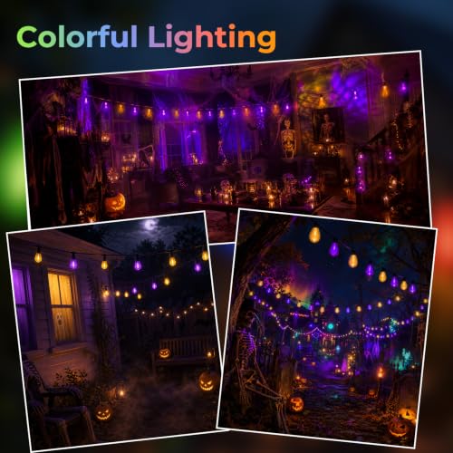 24 Pack S14 Orange and Purple Light Bulbs for String Lights (24 Count)