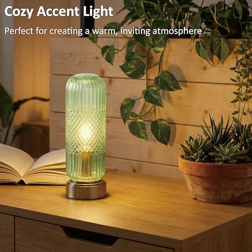 11.6" Touch Dimmable Table Lamp with Ribbed Glass Shade
