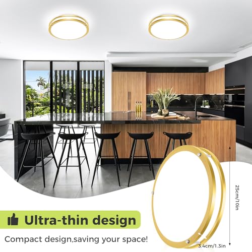 1 Pack Flush Mount Ceiling Light Fixture
