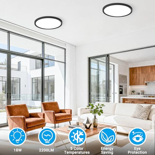 LED Flush Mount Ceiling Light