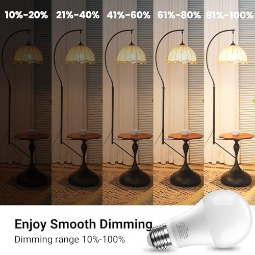 Dimmable LED Light Bulbs (6 Count)