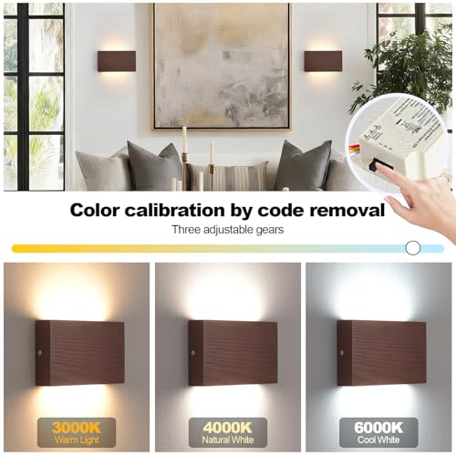 Modern LED Wall Sconce