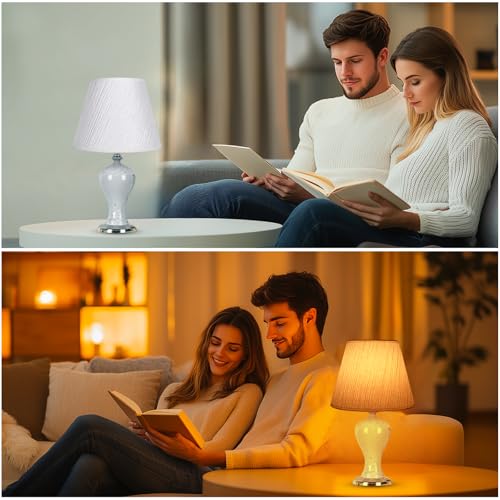 Small Lamp Shade