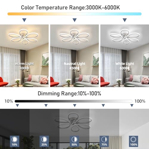 26inch Modern LED Ceiling Light