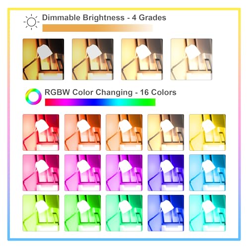 Dimmable E26 Warm LED Light Bulb (2 Count)