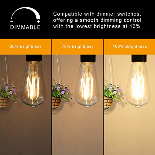 Dimmable Vintage LED Edison Bulbs (6 Count)