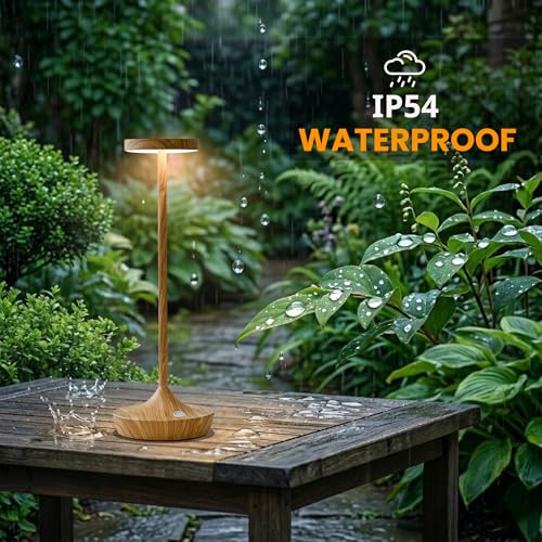 2 Pack Cordless Table Lamps