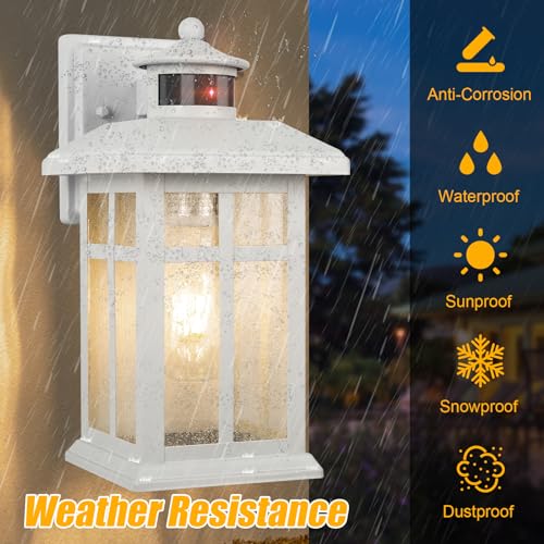 Dawn to Dusk Motion Sensor Exterior Wall Light Fixtures