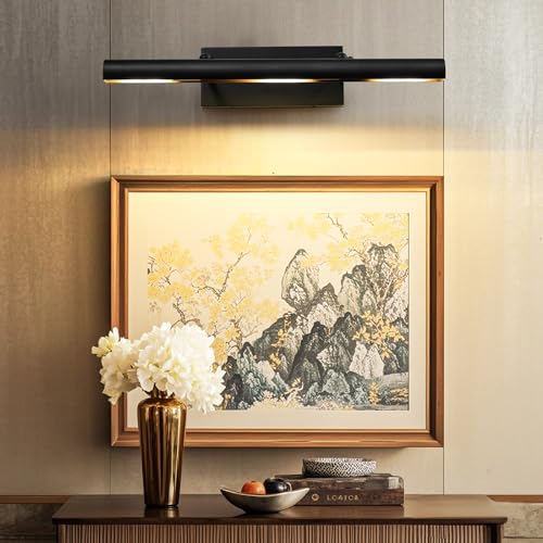 Black Art Picture Frame Wall Light