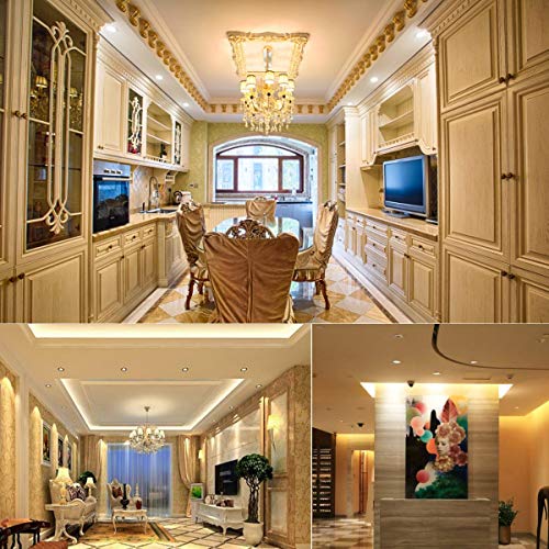 E12 LED Bulb 12W Warm White 3000K LED Bulbs (4 Count)