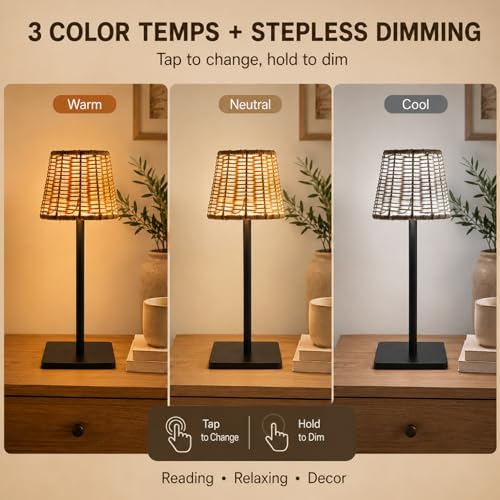 2 Pack Rattan Table Lamp (2 Count)