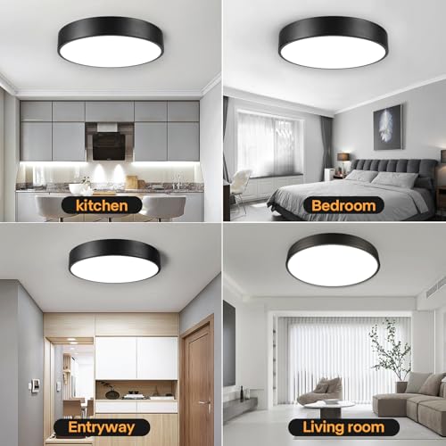 Flush Mount Ceiling Light (Black)
