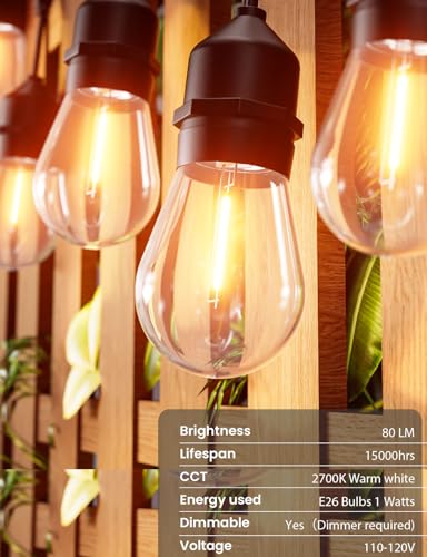 Outdoor String Lights 75 FT LED Outside Patio E26 Edison Waterproof (75 Foot)