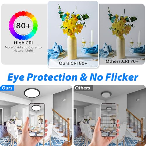12 inch LED Ceiling Light