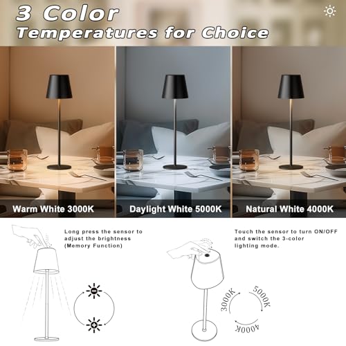 Cordless Table Lamp