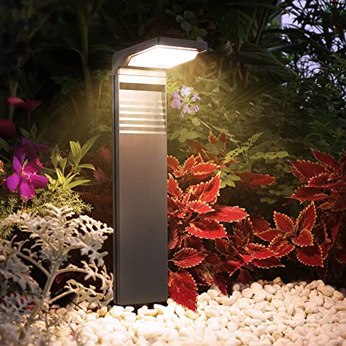 Solar Pathway Lights 8 Pack with Warm White and Cool White Mode (8 Count)