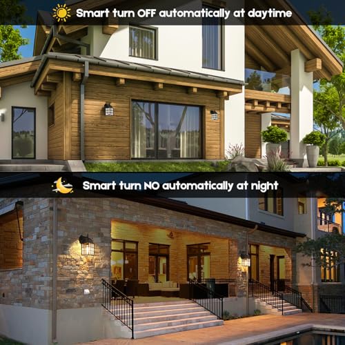 2 Pack Dusk to Dawn Outdoor Wall Lantern (2 Count)