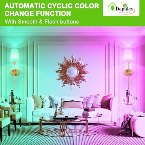Battery Operated Wall Sconce