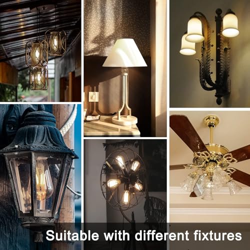 12 Pack Edison LED Light Bulbs (12 Count)