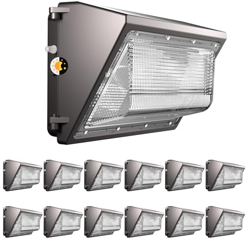 12 Pack 250W Wall Mount Wall Pack (12 Count)