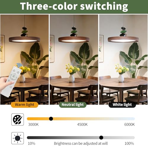 Modern Pendant Lights