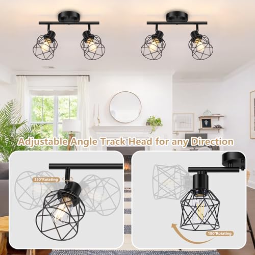 2 Lights Kitchen Light Fixtures Ceiling Mount