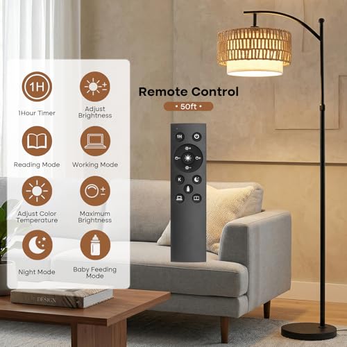 Arc Floor Lamp for Living Room with Remote (Black RC)