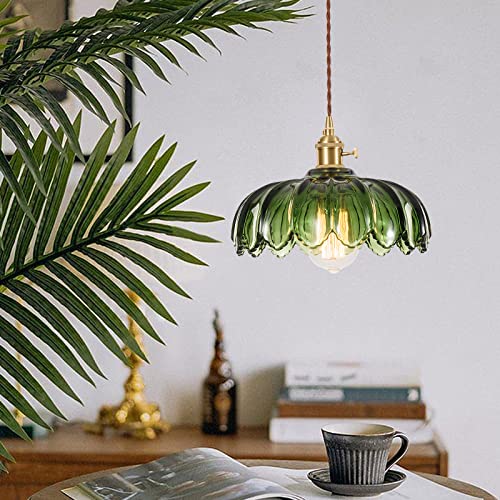 Plug in Pendant Light Fixtures
