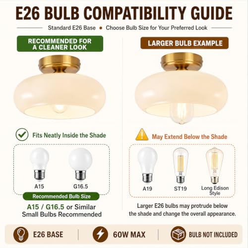 Small Semi Flush Mount Ceiling Light Fixture