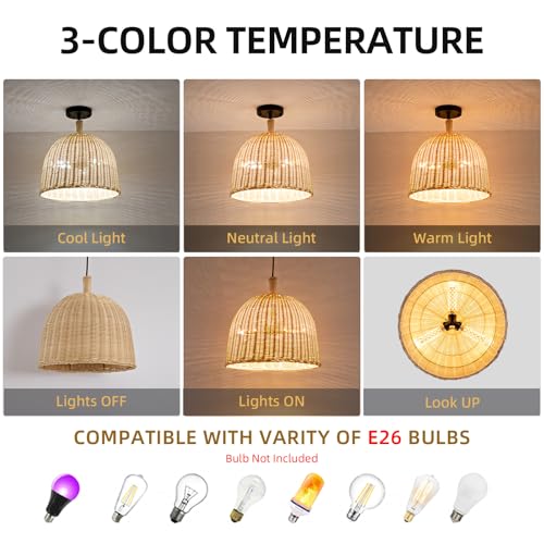 13.8" Rattan Pendant Light