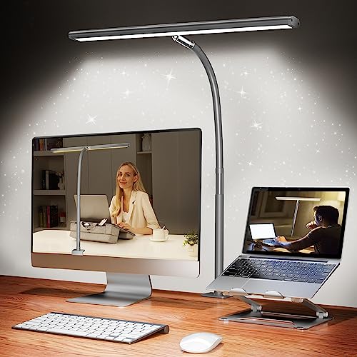 LED Desk Lamp with Clamp