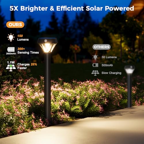 Smart Solar Pathway Lights