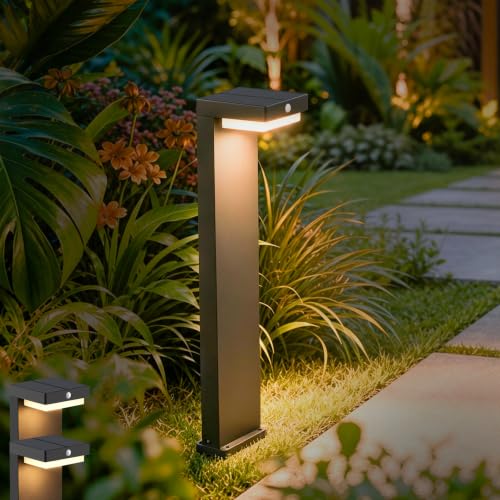 Premium Solar Pathway Lights Outdoor (2 Count)