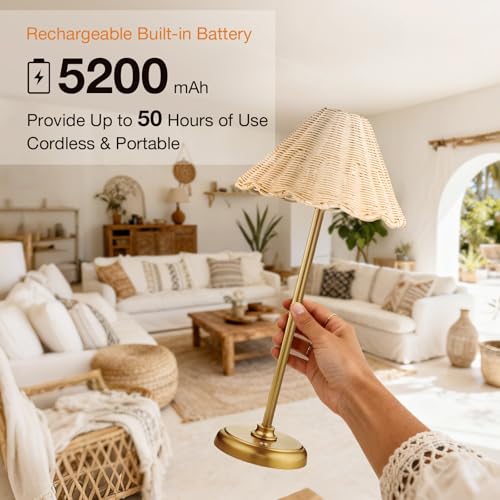 20.5'' Tall Cordless Boho Rattan Table lamp