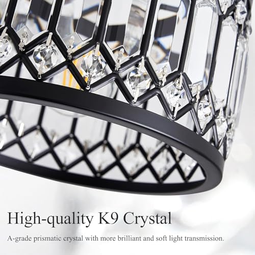 Crystal Black Ceiling Light