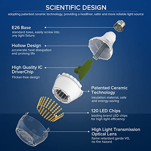 Dimmable LED Light Bulbs
