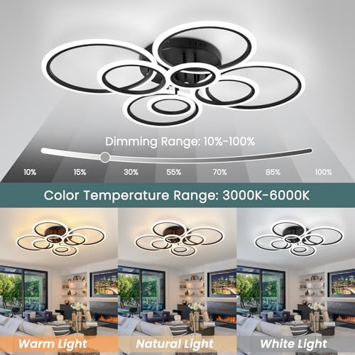 Modern Ceiling Light Fixture