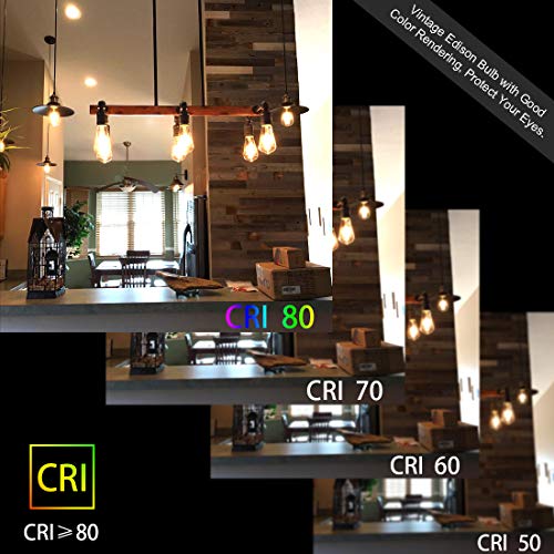 LED Edison Bulbs