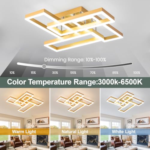 Modern Led Ceiling Light for Living Room