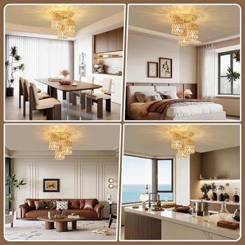 Semi Flush Mount Ceiling Light