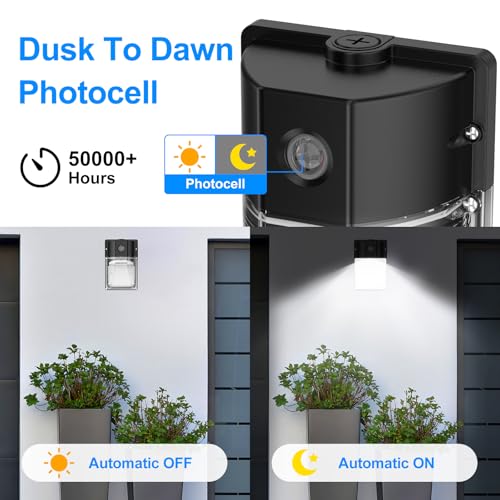 30W LED Wall Pack Light (6 Count)