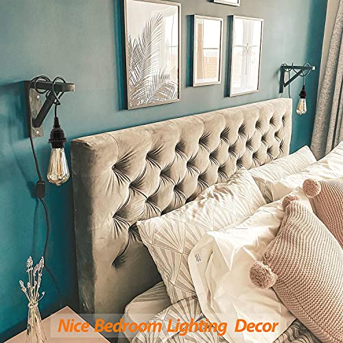 Plug in Hanging Light Kit