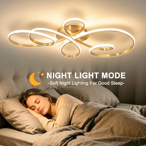 20inch Modern LED Ceiling Light