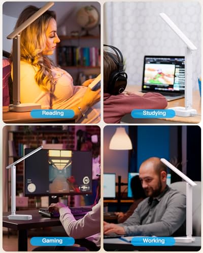LED Desk Lamp