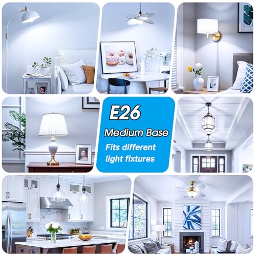 A19 LED Light Bulbs (4 Count)
